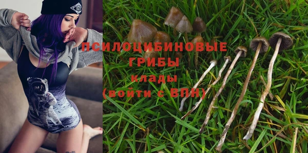 твердый Абдулино