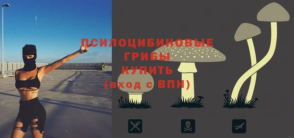 прущие крисы Алексеевка